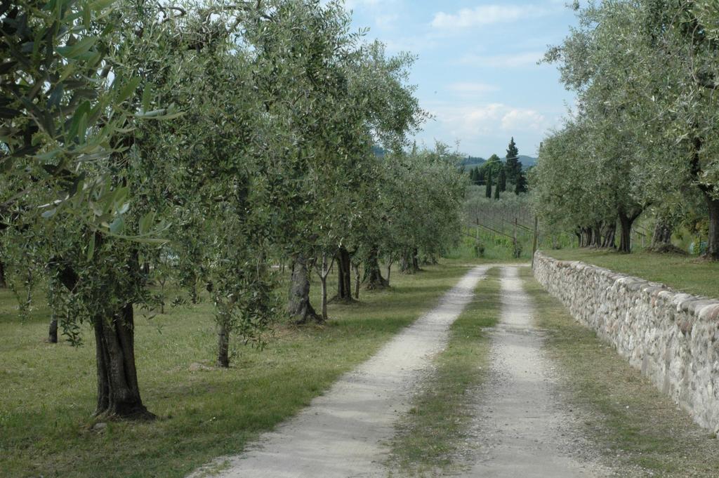 Agriturismo Tenuta La Pergola Бардоліно Екстер'єр фото