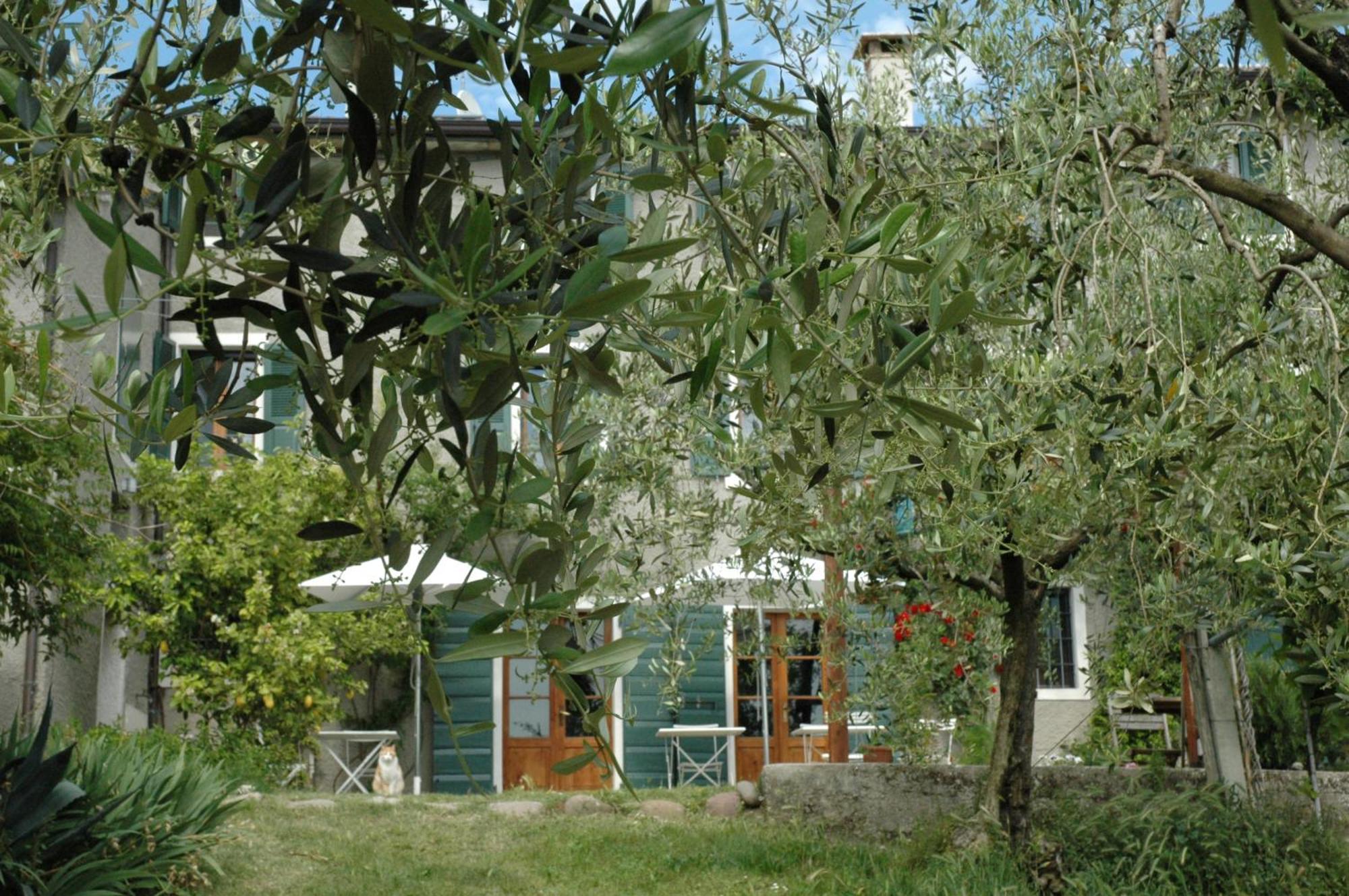 Agriturismo Tenuta La Pergola Бардоліно Екстер'єр фото