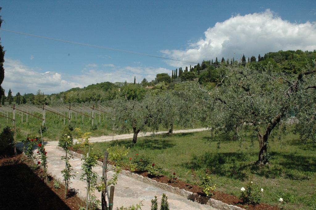 Agriturismo Tenuta La Pergola Бардоліно Екстер'єр фото
