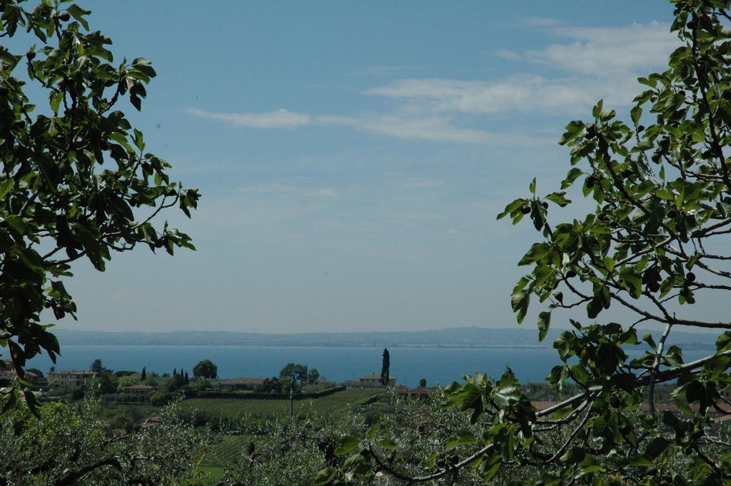 Agriturismo Tenuta La Pergola Бардоліно Екстер'єр фото