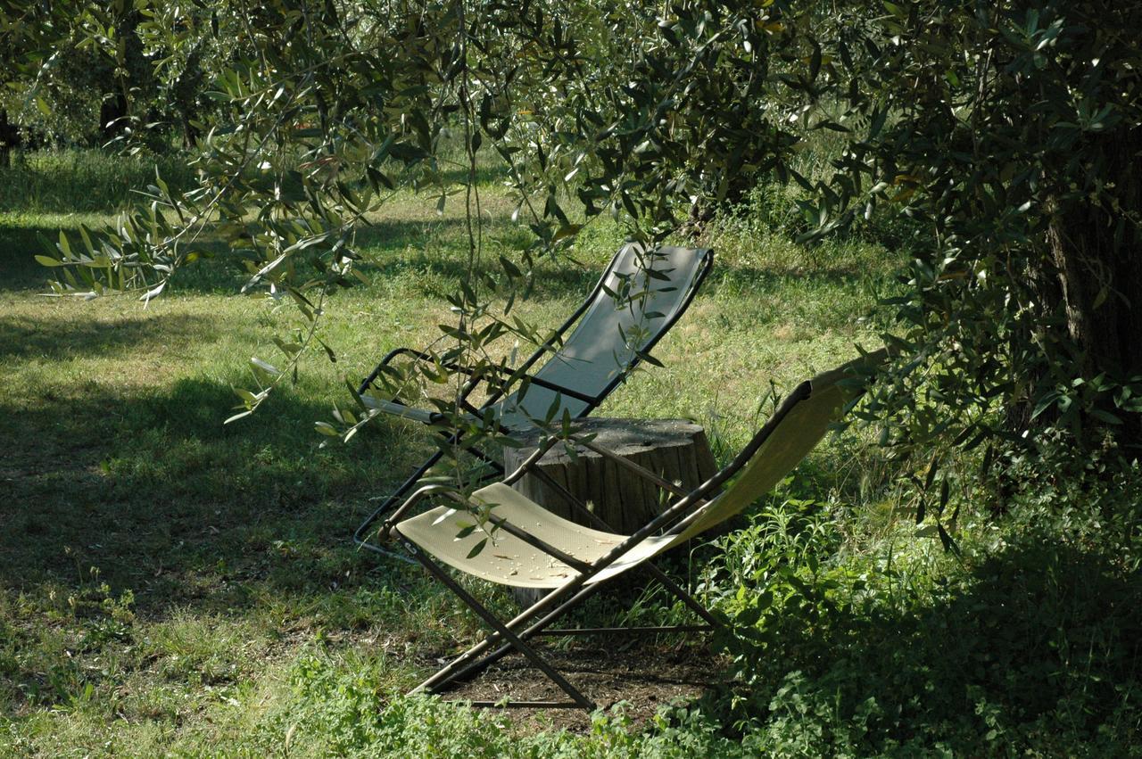 Agriturismo Tenuta La Pergola Бардоліно Екстер'єр фото