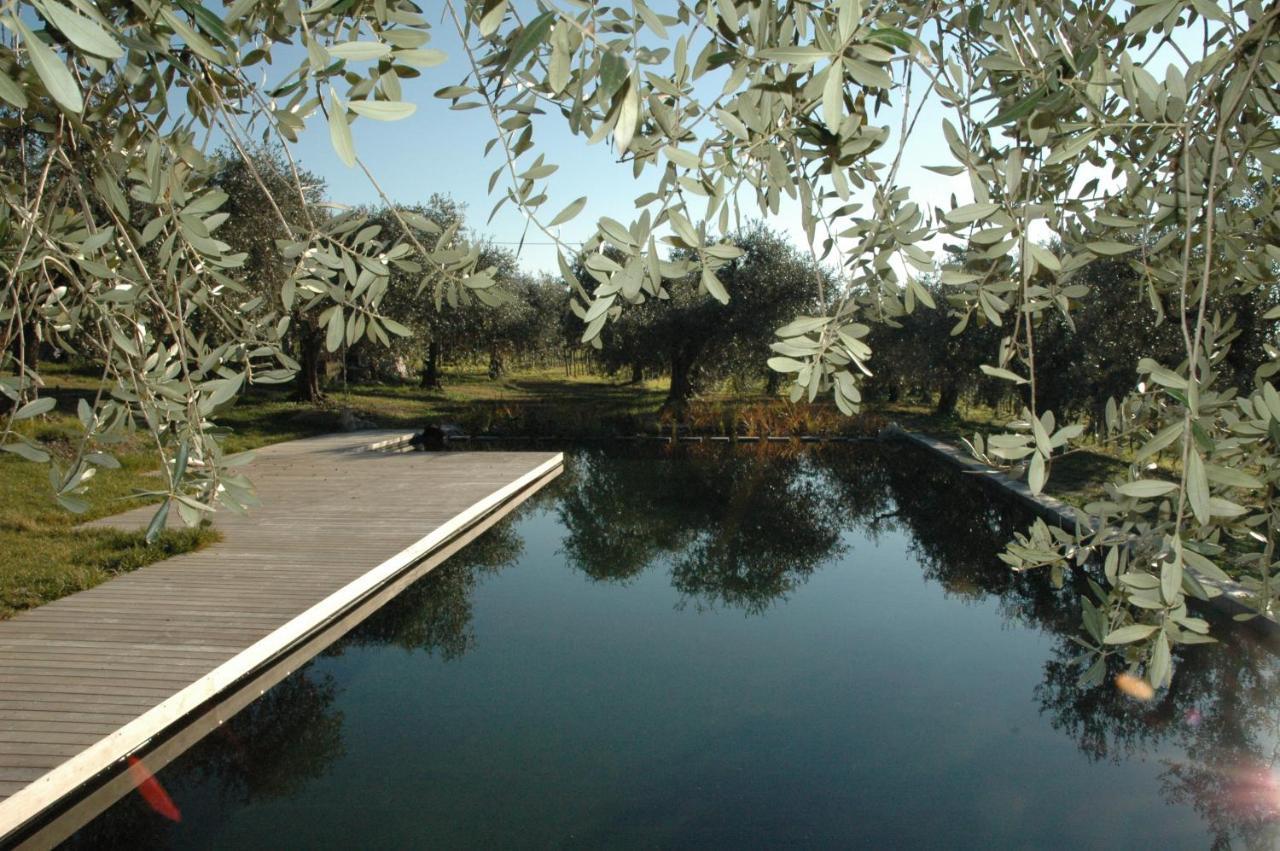 Agriturismo Tenuta La Pergola Бардоліно Екстер'єр фото